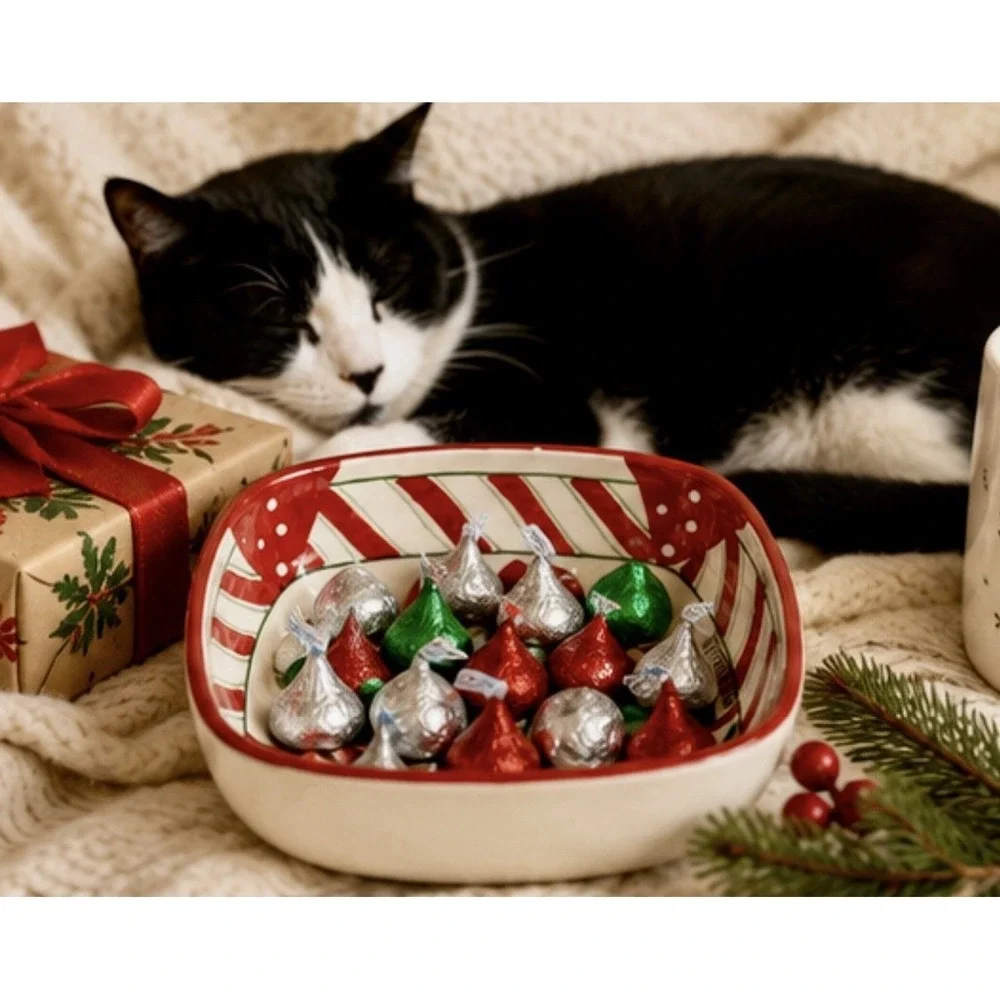 Sakura‎ By Oneida Candy Cane Cat Square Serving Bowl Tuxedo Cat Fiddlesticks 6